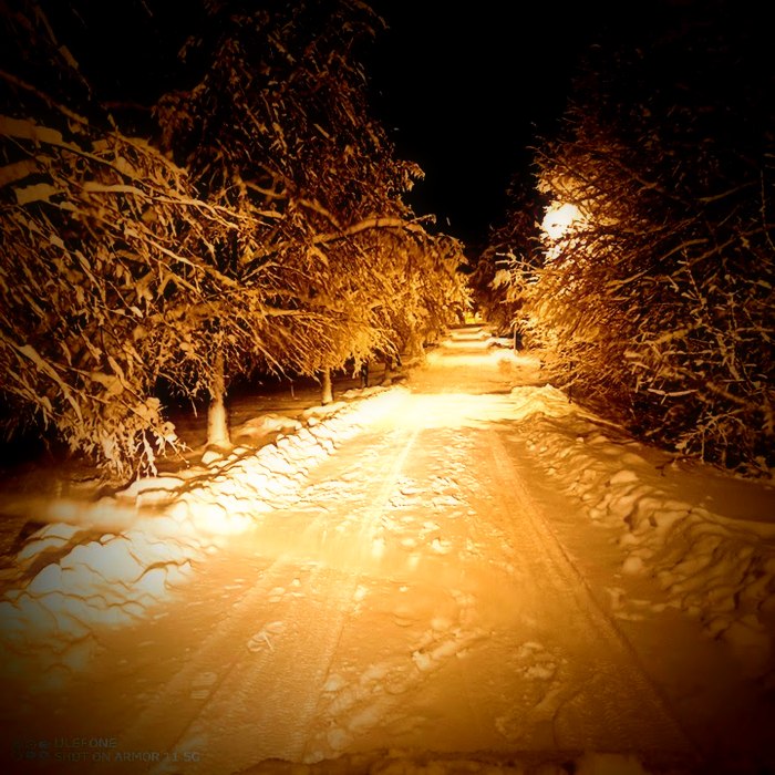 Tollare vid vattnet